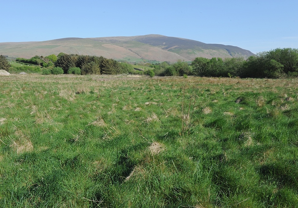 For use in Inside Housing, 1 July 2016